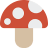 Mushroom House Tours