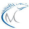 Mustang Helicopters Inc.