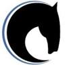 Mustang Seal Solutions