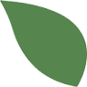 Mountain View Montessori School