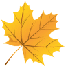 Orchard House Care Home