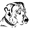 DOG FASHION Hundesalon / Hundefriseur Hameln