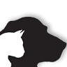 Crossroads Veterinary Hospital