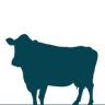 Lexington Large Animal Medicine & Surgery
