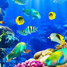 My Fish Tank