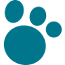 MyFriend Pet shop