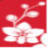 Johnson Floral Co
