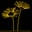 Myl'Fleurs Fleuriste