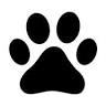 Park Hill Pet Clinic