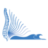 Orthopaedic Spine Specialists