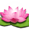 Mystic Flow Wellness Center