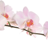 Mystic Retreat Med Spa & Weight Loss Center