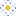 Surety United NTL Insurance