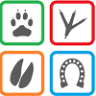 myvet Strathfieldsaye