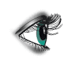 My Vision