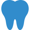 Eleisha J. Nickoles, DDS