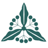 Reitaku Mizunami Junior & Senior High School