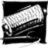 Naai Boutique