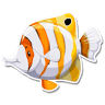 NAFB Aquarium Centre