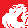 North Adelaide Football Club