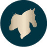 Nalanta Horse Equipment by Jesse Drent