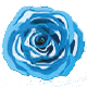 NAPAORN TOOLTHUM