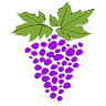 Napa Valley Reservations