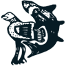 Napranum Aboriginal Shire Council