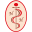 Medical Center Narita Hospital