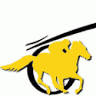 Narrogin Racing
