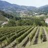 Finca Narzabal