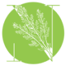 NATONIC (a Bestwind Group Company)