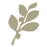 NATULIQUE Natürliche Haarfarben & Pflege