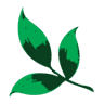 Natura Food Additives, a.s.