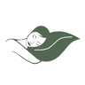 NATURAL LIVING CONCEPT CO.,Ltd