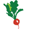 Natural Abundance Food co-op