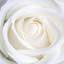Natural Beauty Salon