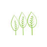 Natural Elements Early Learning Centre Pottsville
