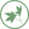 Natural Grace Holistic Funeral Directors