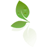 Natural Image Skin Center