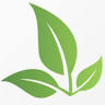 Natural Skincare Solutions