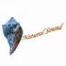 Natural Sound Studio