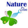 Nature Dive