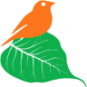 Nature India Nursery - 