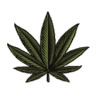 Nature's Haze (Cannabis Dispensary)