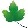 Nature Skins Cosmetics
