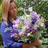 Nature's Posy