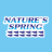 Nature’s Spring Cabancalan Branch
