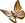 Natur Futura