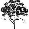 Naturstube Putzgruber